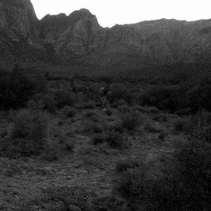 Meet your Posher, Evan